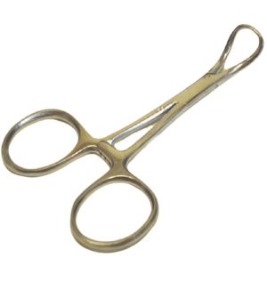 10pcs Backhaus Towel Clamps 3.5" Size Surgical Stainless